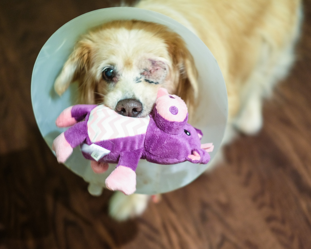 20140908_katie with baby